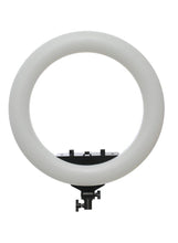 Load image into Gallery viewer, Plocama Live-R45 pro LED Soft Ring Light
